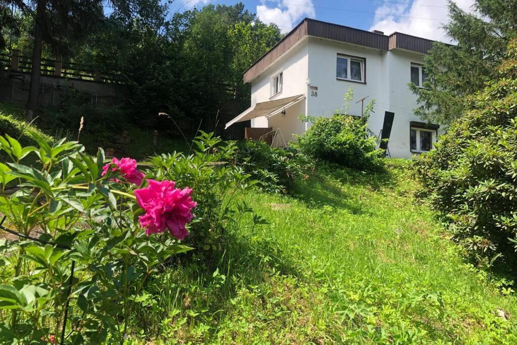 Domek U Bociana Tresna Exterior photo